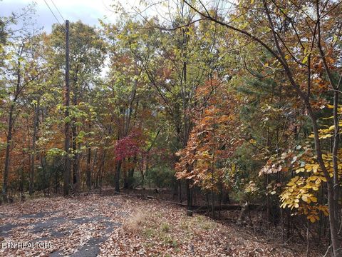 Tiny photo for 828 Wilderness Drive, Mooresburg, TN 37811 (MLS # 1332474)
