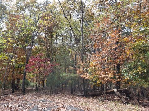Tiny photo for 828 Wilderness Drive, Mooresburg, TN 37811 (MLS # 1332474)