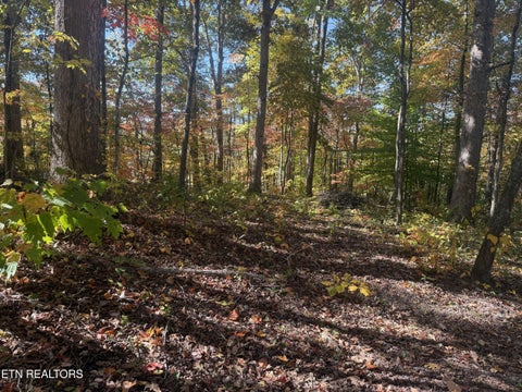 Tiny photo for 4338 York Rd, Knoxville, TN 37938 (MLS # 1360493)
