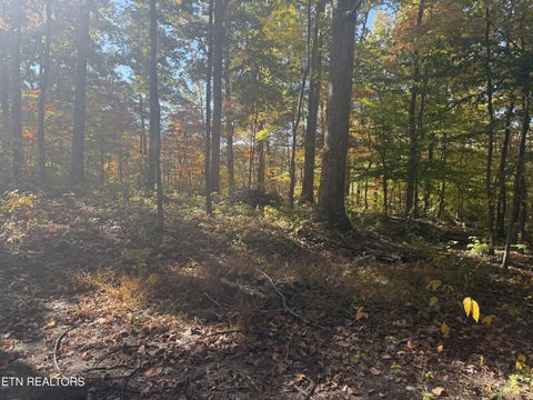 Tiny photo for 4338 York Rd, Knoxville, TN 37938 (MLS # 1360493)