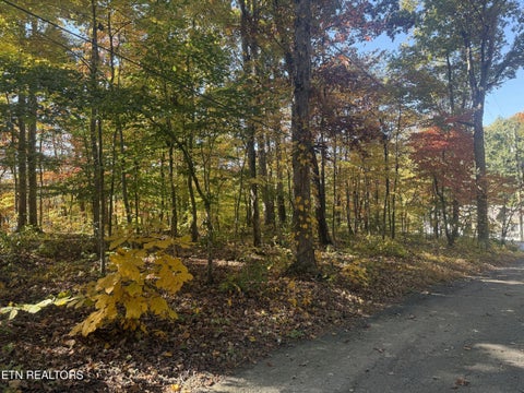 Photo of 4338 York Rd, Knoxville, TN 37938 (MLS # 1360493)