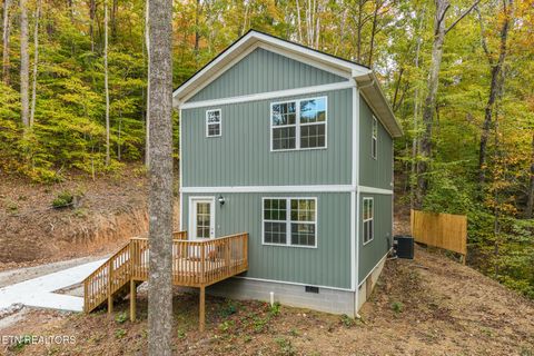 170 Lone Mountain Rd Andersonville TN 37705