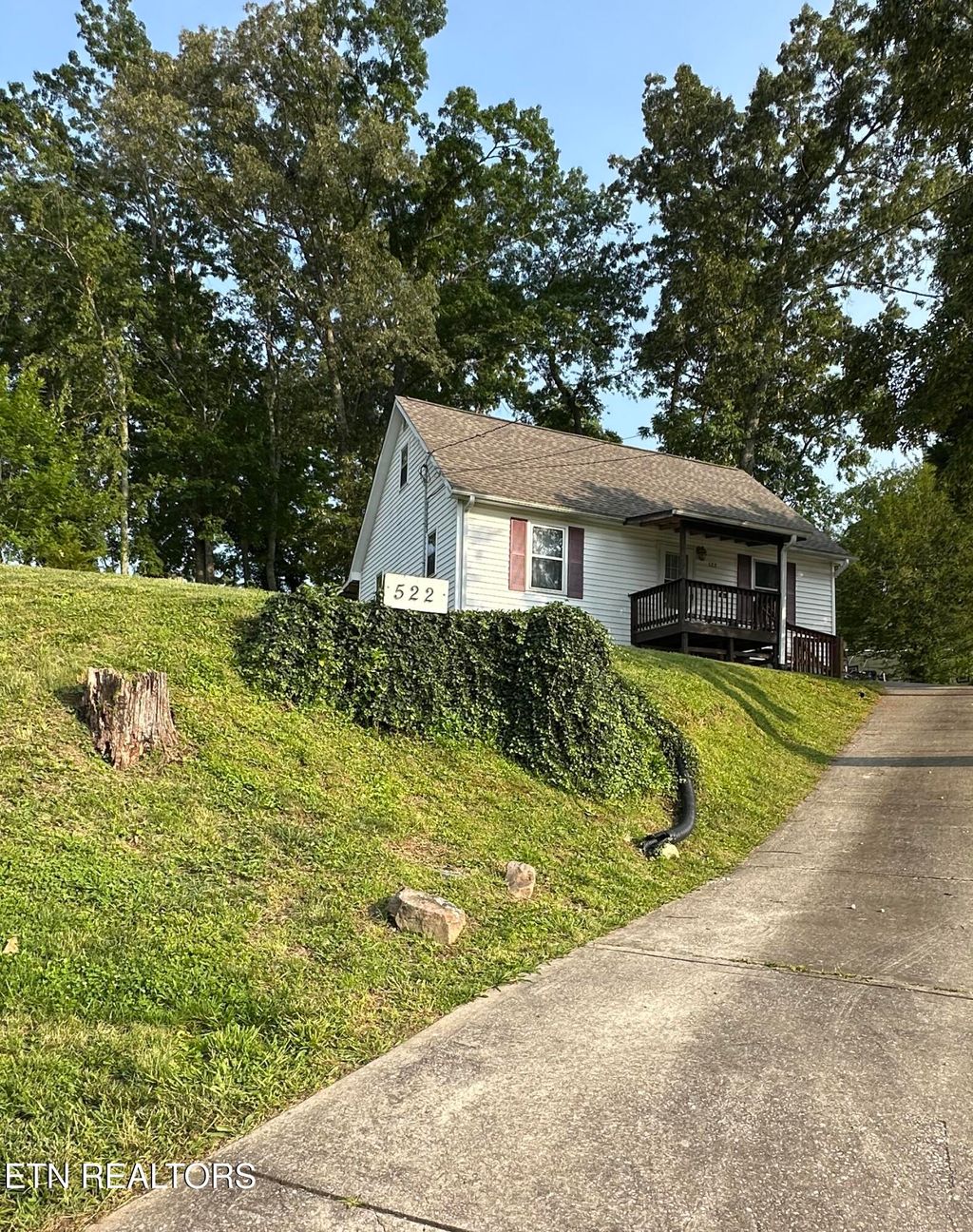 Photo of 522 N N Kingston Ave Ave, Rockwood, TN 37854 (MLS # 1304651)