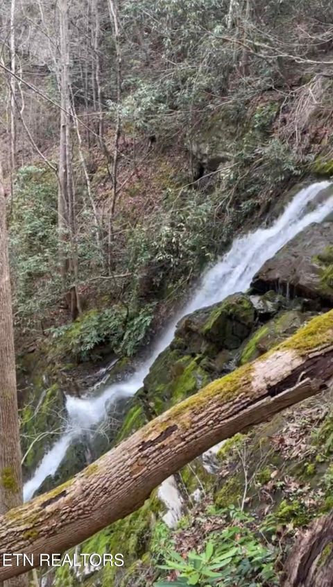 Tiny photo for 4320 Barnes Hollow Rd, Cosby, TN 37722 (MLS # 1339355)