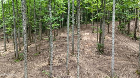 Tiny photo for 4320 Barnes Hollow Rd, Cosby, TN 37722 (MLS # 1339355)