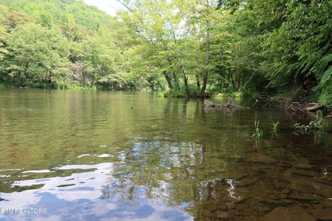 Tiny photo for 4320 Barnes Hollow Rd, Cosby, TN 37722 (MLS # 1339355)