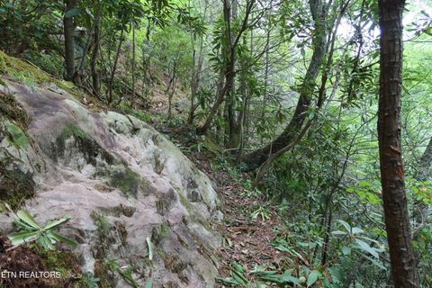 Tiny photo for 4320 Barnes Hollow Rd, Cosby, TN 37722 (MLS # 1339355)