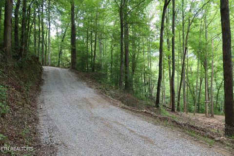 Tiny photo for 4320 Barnes Hollow Rd, Cosby, TN 37722 (MLS # 1339355)