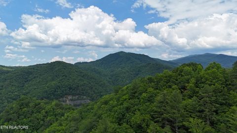 Tiny photo for 4320 Barnes Hollow Rd, Cosby, TN 37722 (MLS # 1339355)