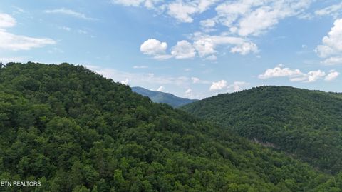 Tiny photo for 4320 Barnes Hollow Rd, Cosby, TN 37722 (MLS # 1339355)