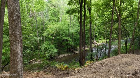 Tiny photo for 4320 Barnes Hollow Rd, Cosby, TN 37722 (MLS # 1339355)