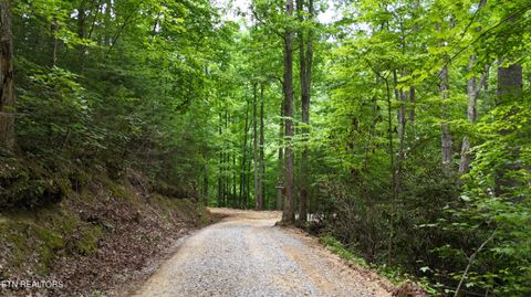 Tiny photo for 4320 Barnes Hollow Rd, Cosby, TN 37722 (MLS # 1339355)