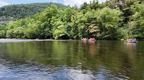 Tiny photo for 4320 Barnes Hollow Rd, Cosby, TN 37722 (MLS # 1339355)