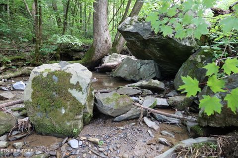 Tiny photo for 4320 Barnes Hollow Rd, Cosby, TN 37722 (MLS # 1339355)