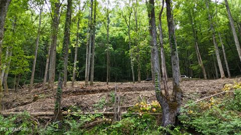 Tiny photo for 4320 Barnes Hollow Rd, Cosby, TN 37722 (MLS # 1339355)