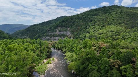 Tiny photo for 4320 Barnes Hollow Rd, Cosby, TN 37722 (MLS # 1339355)