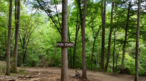 Tiny photo for 4320 Barnes Hollow Rd, Cosby, TN 37722 (MLS # 1339355)