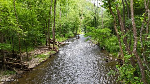 Tiny photo for 4320 Barnes Hollow Rd, Cosby, TN 37722 (MLS # 1339355)