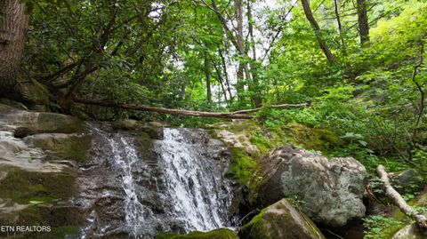 Tiny photo for 4320 Barnes Hollow Rd, Cosby, TN 37722 (MLS # 1339355)