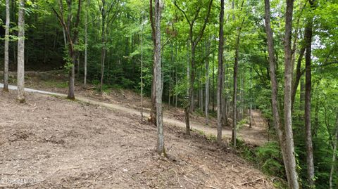 Tiny photo for 4320 Barnes Hollow Rd, Cosby, TN 37722 (MLS # 1339355)