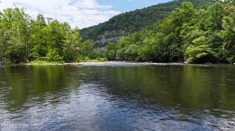 Photo of 4320 Barnes Hollow Rd, Cosby, TN 37722 (MLS # 1339355)