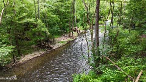Tiny photo for 4320 Barnes Hollow Rd, Cosby, TN 37722 (MLS # 1339355)
