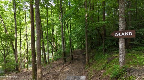 Tiny photo for 4320 Barnes Hollow Rd, Cosby, TN 37722 (MLS # 1339355)