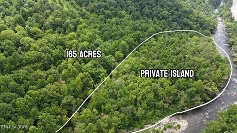 Tiny photo for 4320 Barnes Hollow Rd, Cosby, TN 37722 (MLS # 1339355)