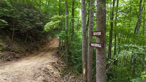 Tiny photo for 4320 Barnes Hollow Rd, Cosby, TN 37722 (MLS # 1339355)