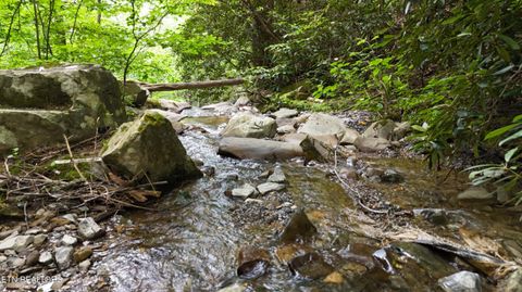 Tiny photo for 4320 Barnes Hollow Rd, Cosby, TN 37722 (MLS # 1339355)