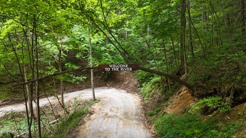 Tiny photo for 4320 Barnes Hollow Rd, Cosby, TN 37722 (MLS # 1339355)