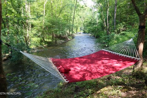 Tiny photo for 4320 Barnes Hollow Rd, Cosby, TN 37722 (MLS # 1339355)