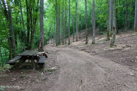 Tiny photo for 4320 Barnes Hollow Rd, Cosby, TN 37722 (MLS # 1339355)