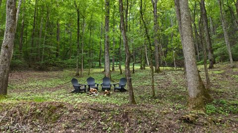 Tiny photo for 4320 Barnes Hollow Rd, Cosby, TN 37722 (MLS # 1339355)