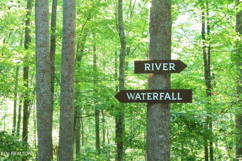 Tiny photo for 4320 Barnes Hollow Rd, Cosby, TN 37722 (MLS # 1339355)