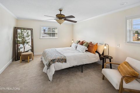 Tiny photo for 809 Chateaugay Rd, Knoxville, TN 37923 (MLS # 1329454)