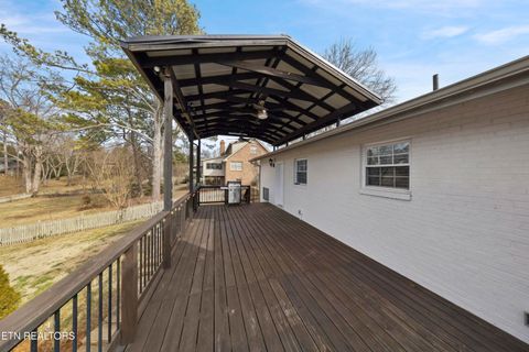 Tiny photo for 809 Chateaugay Rd, Knoxville, TN 37923 (MLS # 1329454)