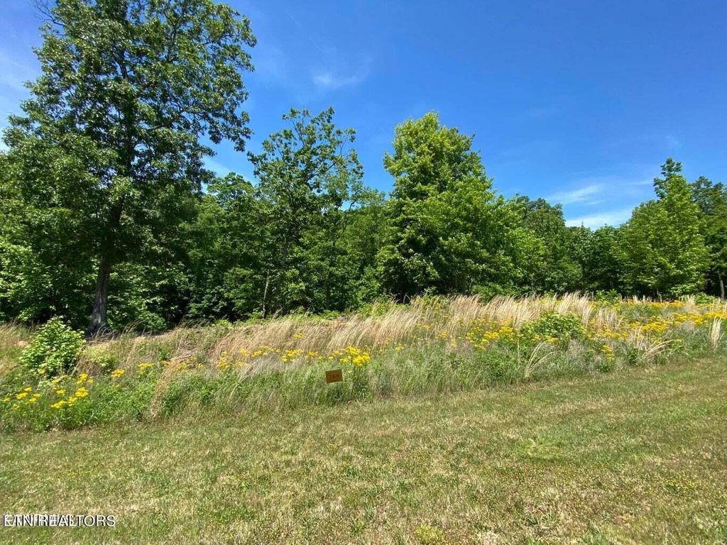 Photo of Water View Drive, Rockwood, TN 37854 (MLS # 1257869)