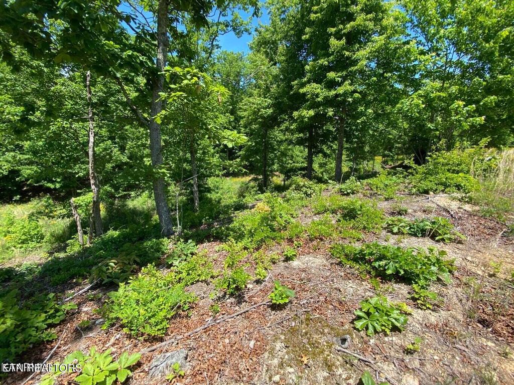 Photo of Water View Drive, Rockwood, TN 37854 (MLS # 1257869)