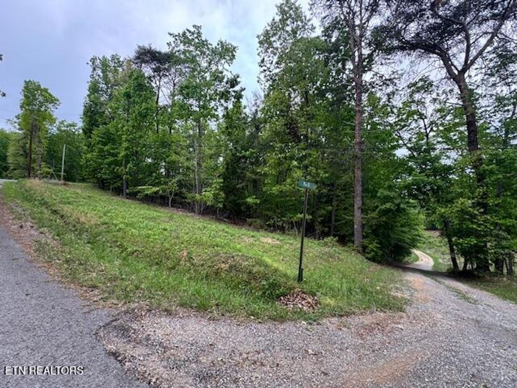Photo of 0 Maple Drive, Spring City, TN 37381 (MLS # 1298937)