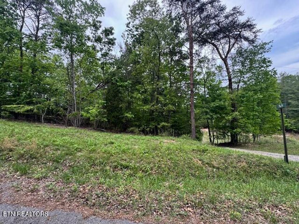 Photo of 0 Maple Drive, Spring City, TN 37381 (MLS # 1298937)