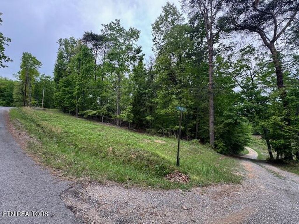 Photo of 0 Maple Drive, Spring City, TN 37381 (MLS # 1298937)