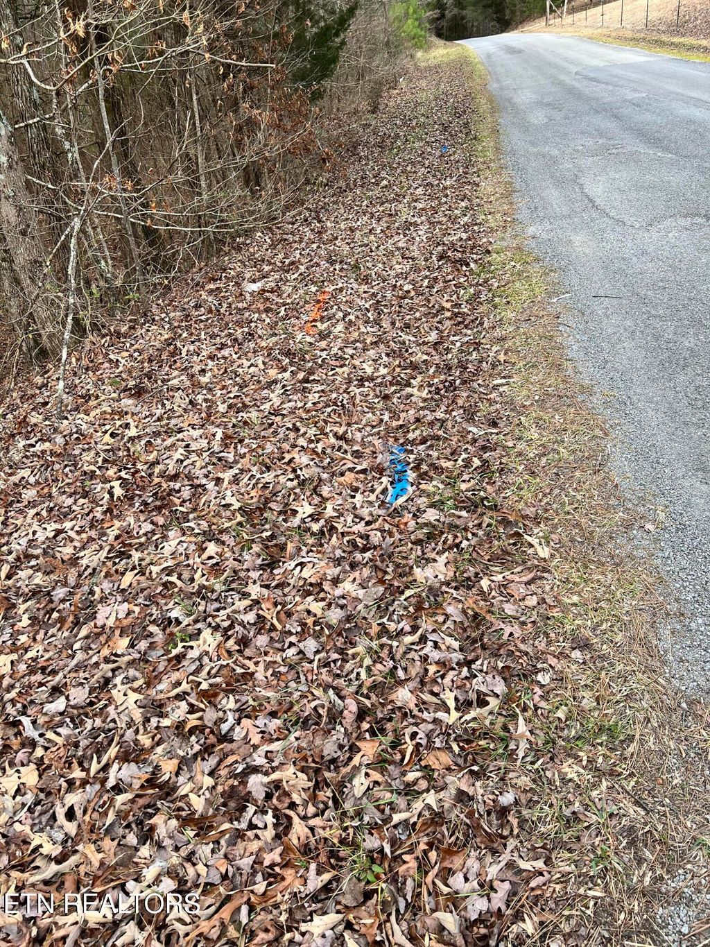 Photo of 450 Butler Rd, Decatur, TN 37322 (MLS # 1346393)