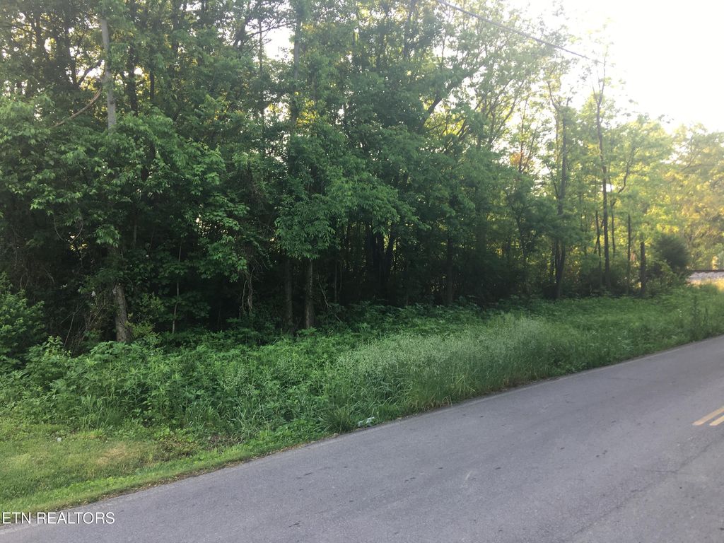 Photo of 450 Butler Rd, Decatur, TN 37322 (MLS # 1346393)