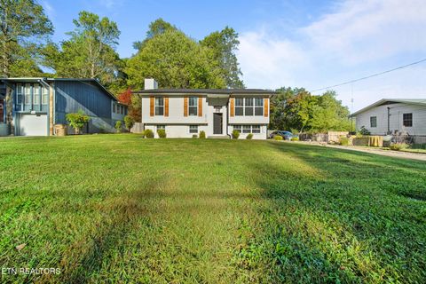 Photo of 6513 Trousdale Rd, Knoxville, TN 37921 (MLS # 1318679)
