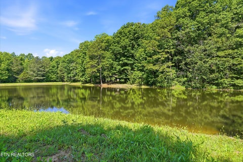 Tiny photo for Highway 163, Riceville, TN 37370 (MLS # 1348202)