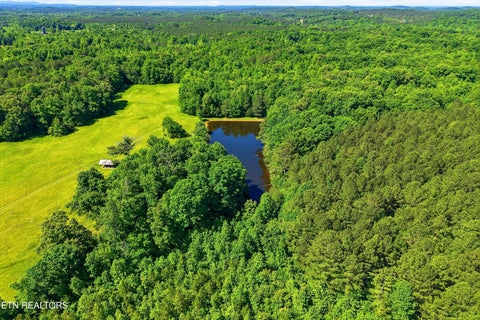 Tiny photo for Highway 163, Riceville, TN 37370 (MLS # 1348202)
