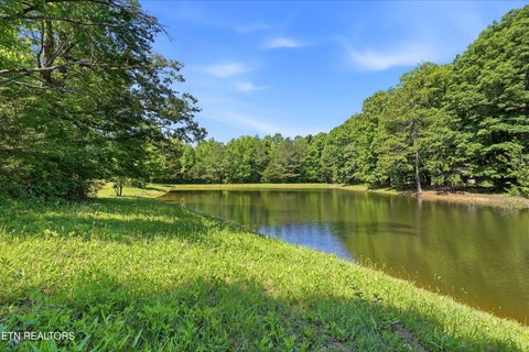 Tiny photo for Highway 163, Riceville, TN 37370 (MLS # 1348202)