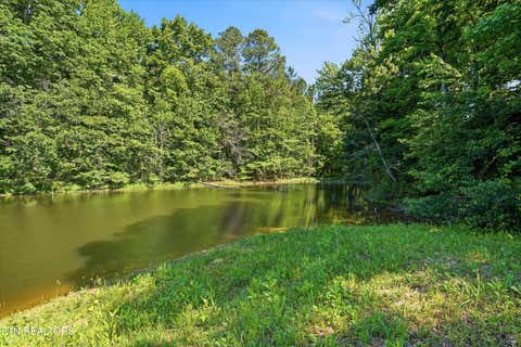 Tiny photo for Highway 163, Riceville, TN 37370 (MLS # 1348202)