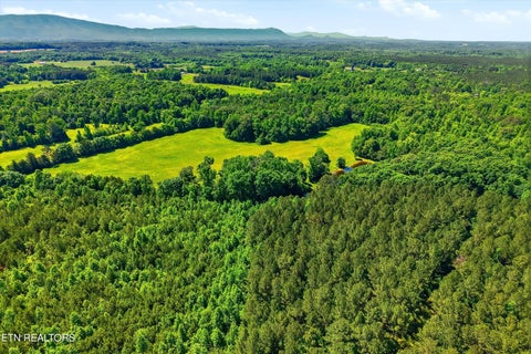 Tiny photo for Highway 163, Riceville, TN 37370 (MLS # 1348202)